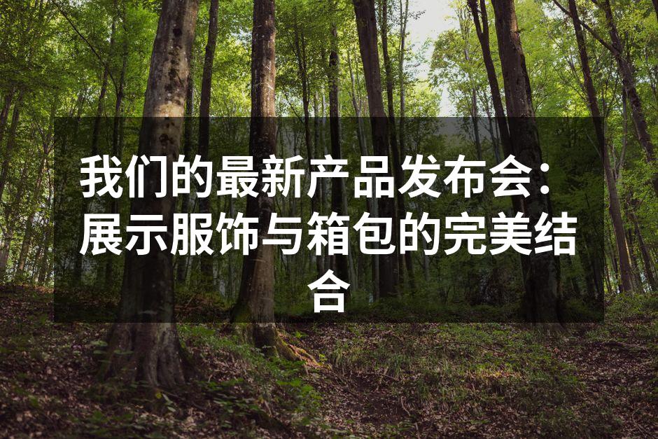 新品发布会现场盛况